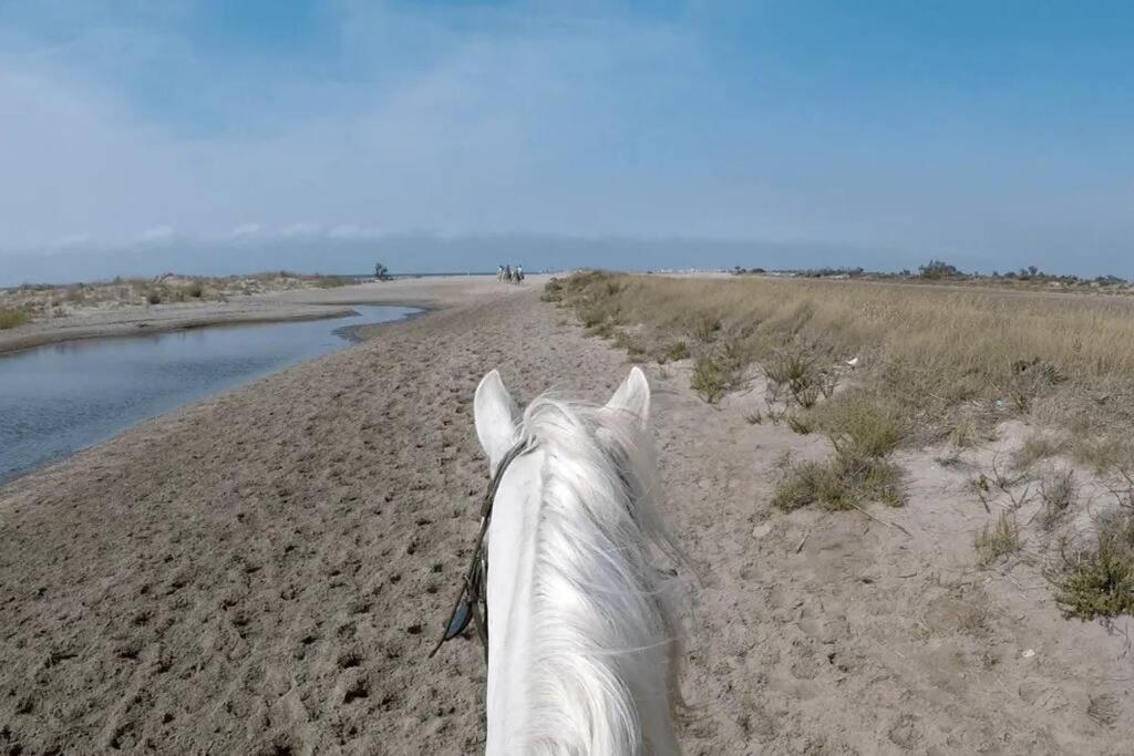 "Le Nature" Camargue Jardin Арл Екстериор снимка