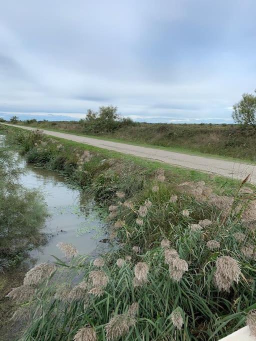 "Le Nature" Camargue Jardin Арл Екстериор снимка